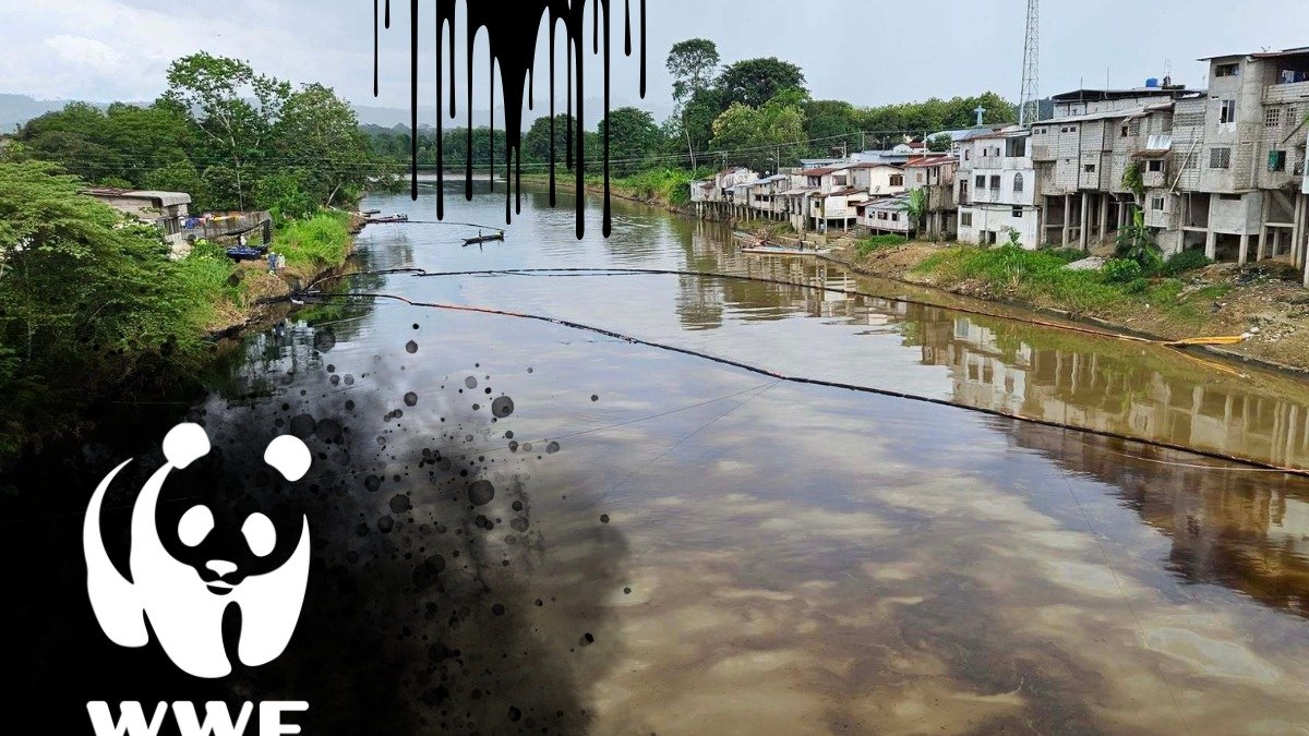 La organización está alerta ante la crisis ambiental en Esmeraldas.