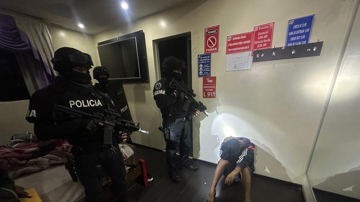 La detención de 14 personas se realizó en un operativo denominado Gran Félix 17.