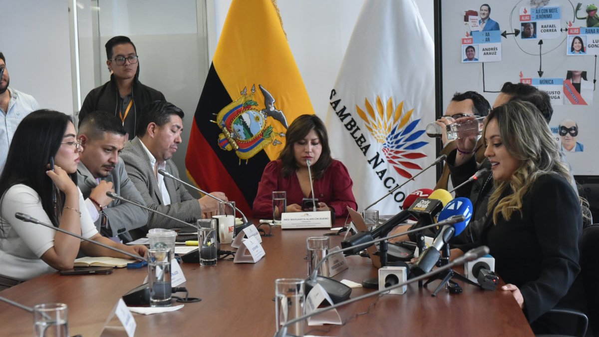 La asambleísta oficialista Inés Alarcón preside la Comisión de Seguridad.