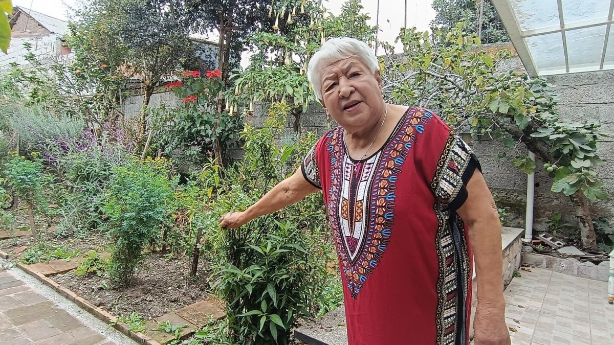Nydia Vázquez conserva la tradicional huerta en su hogar, en la capital morlaca.