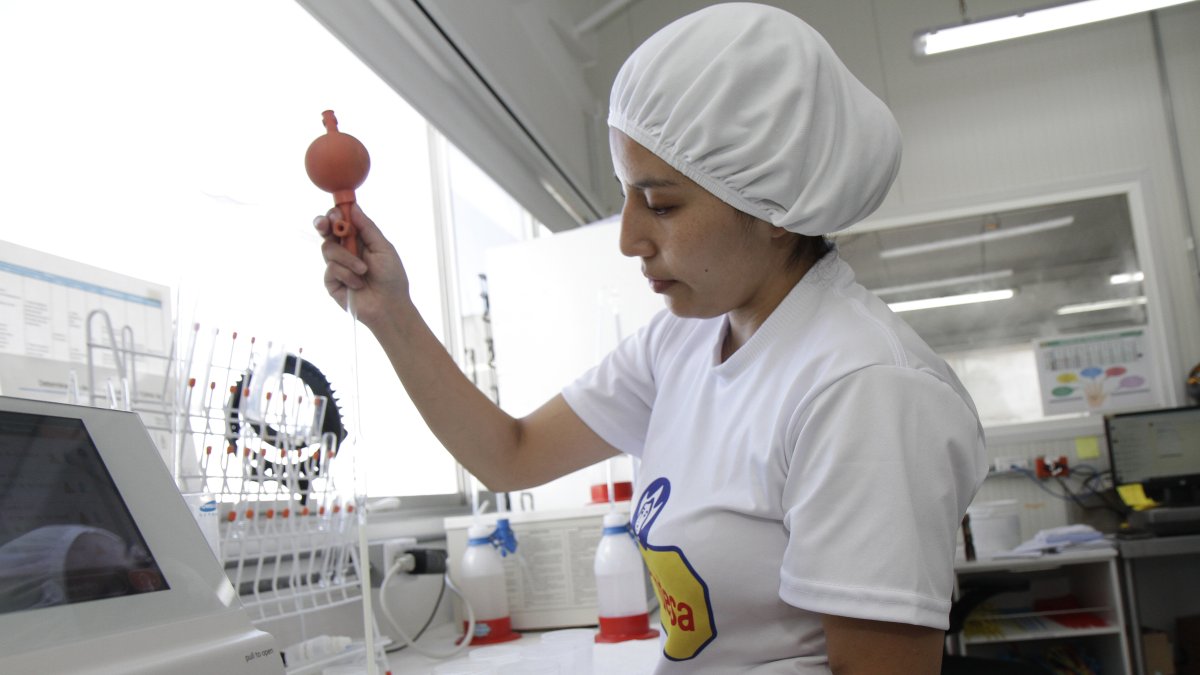 Actualmente, la planta de producción de La Holandesa funciona en el nororiente de Quito.
