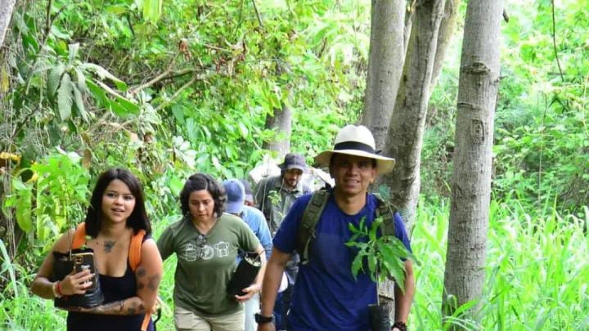 También habrá siembra de especies en la minga que habrá este lunes en cerro El Paraíso por el mes del agua.