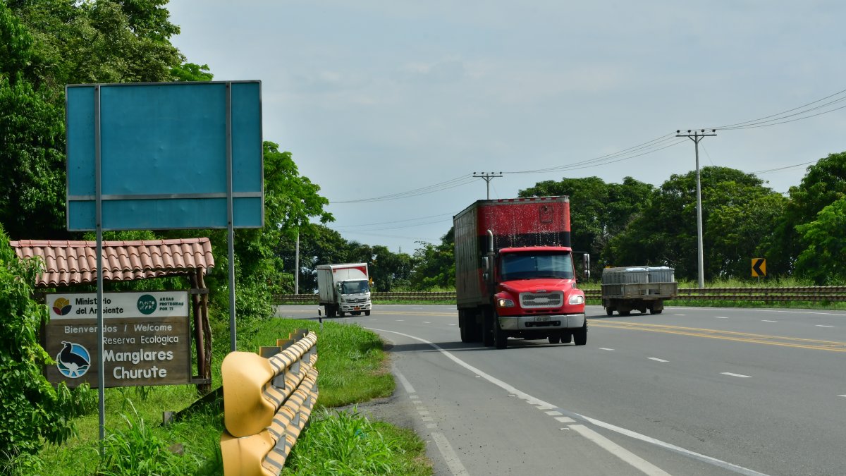 A pesar de que la E25 es una carretera ‘rápida’, no cuenta con señalización preventiva de cruce de especies.