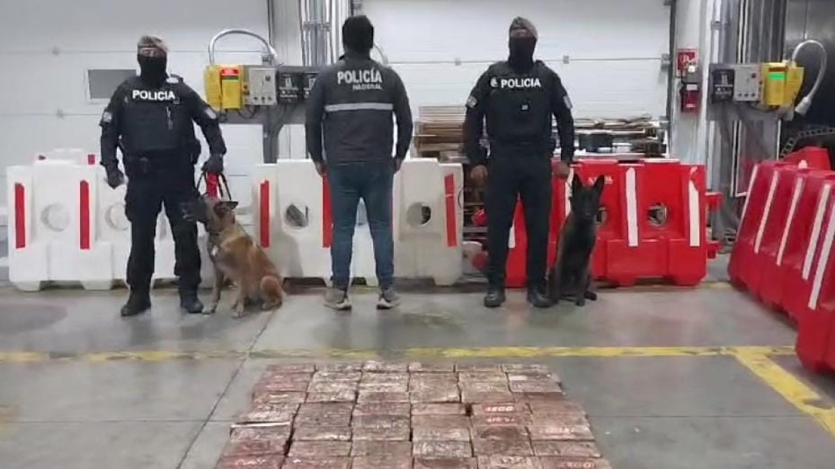 Los canes rastrearon el alcaloide bajo los contenedores.