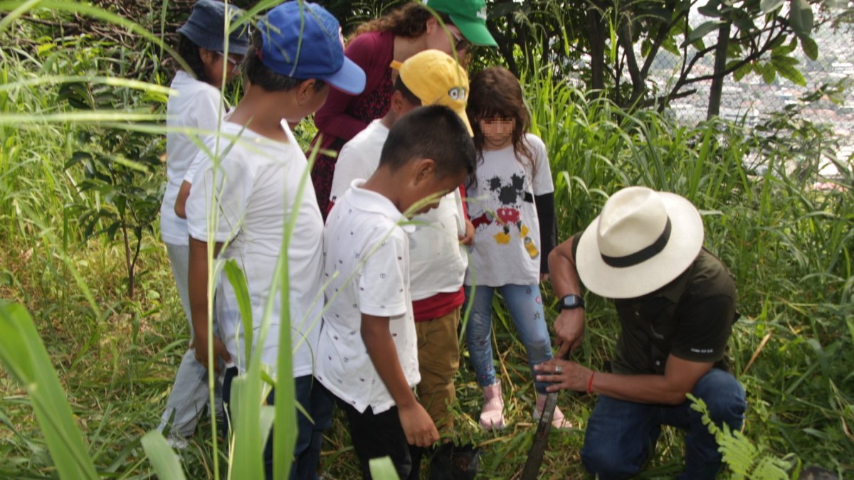 Niñas y niños de Nueva Prosperina participaron en la siembra en el bosque protector de cerro El Paraíso.