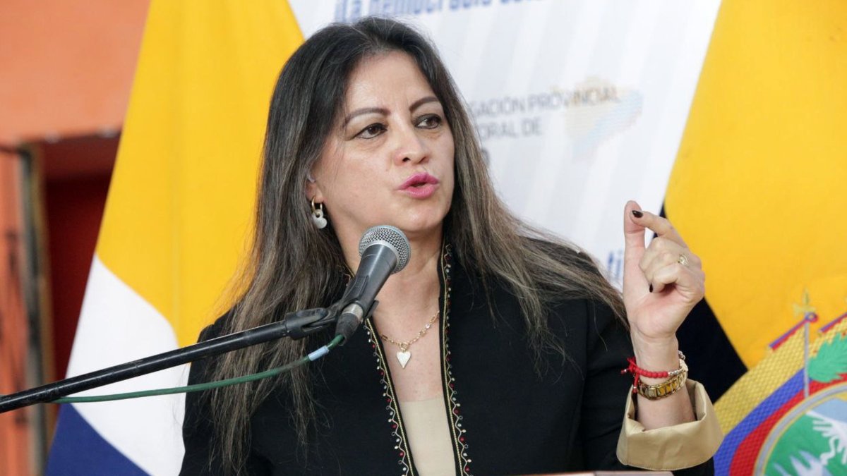 Elena Nájera solicitó que el Pleno del CNE se pronuncie sobre la obligatoriedad de pedir licencia para Noboa.