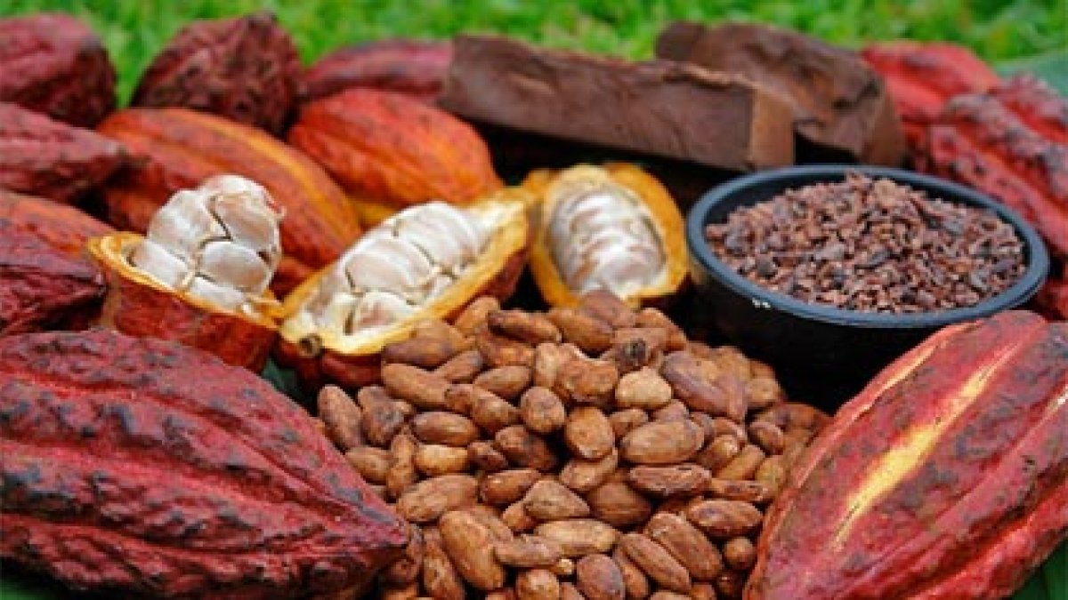 El precio del cacao ecuatoriano se calcula tomando como base el valor de la tonelada con entrega futura en mayo en la bolsa de Nueva York.