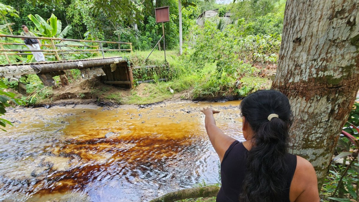 La rotura del SOTE provocó que el derrame de petróleo alcance los ríos de Esmeraldas y que llegue al mar.