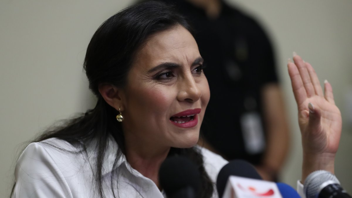 La vicepresidenta Verónica Abad.