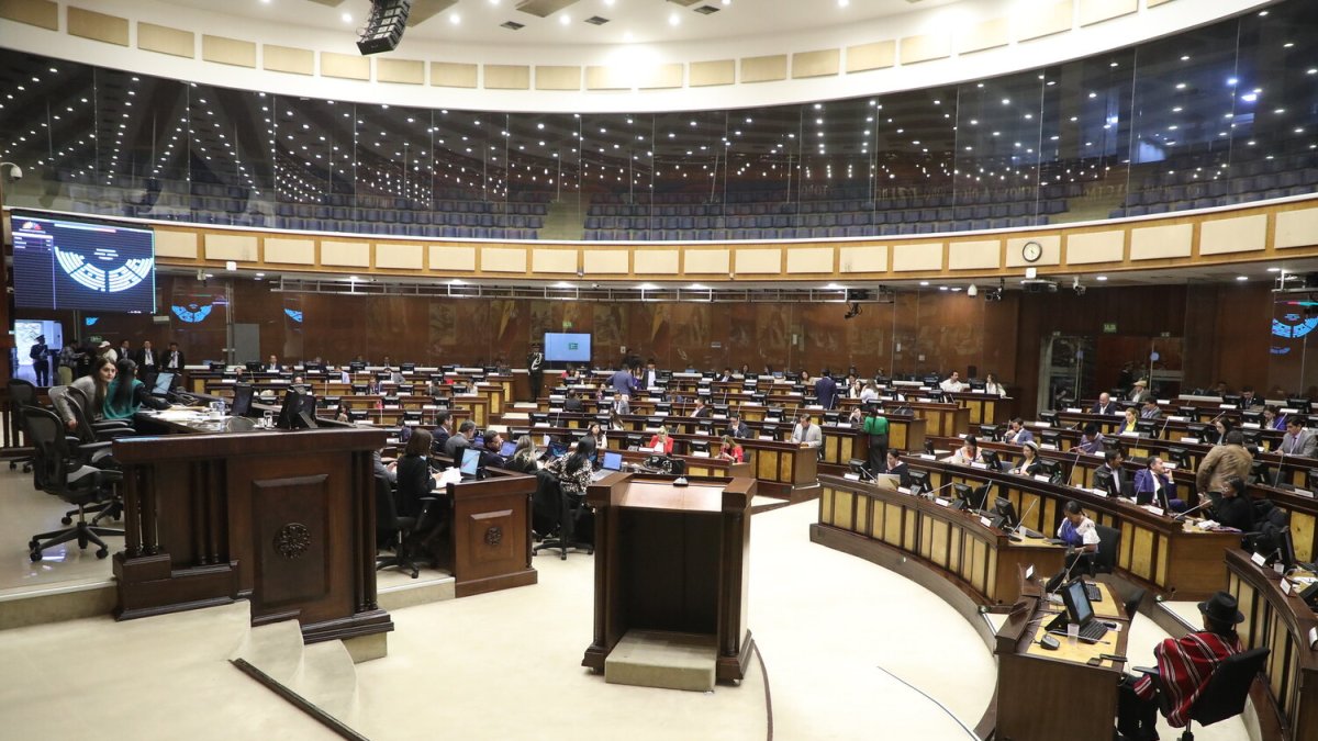 Solo en caso de ausencia definitiva, la Asamblea interviene.