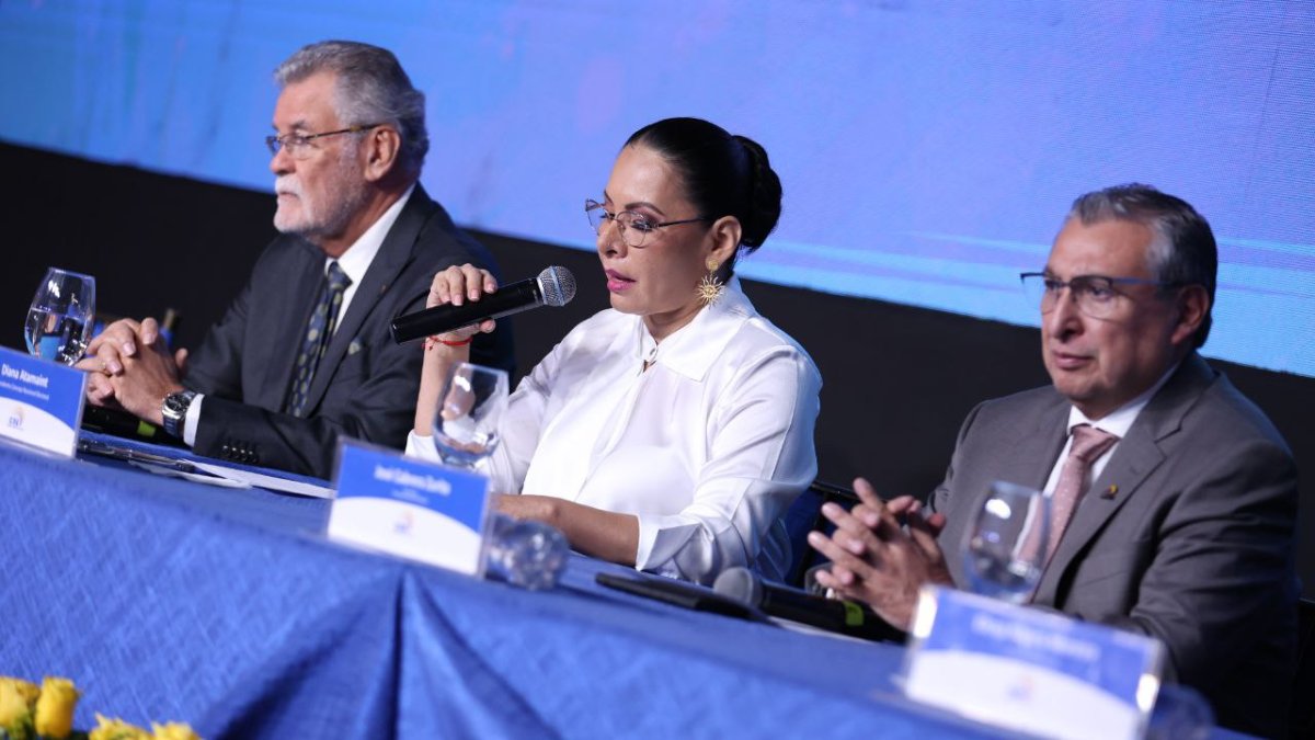 La prohibición fue resuelta por el Pleno del CNE.