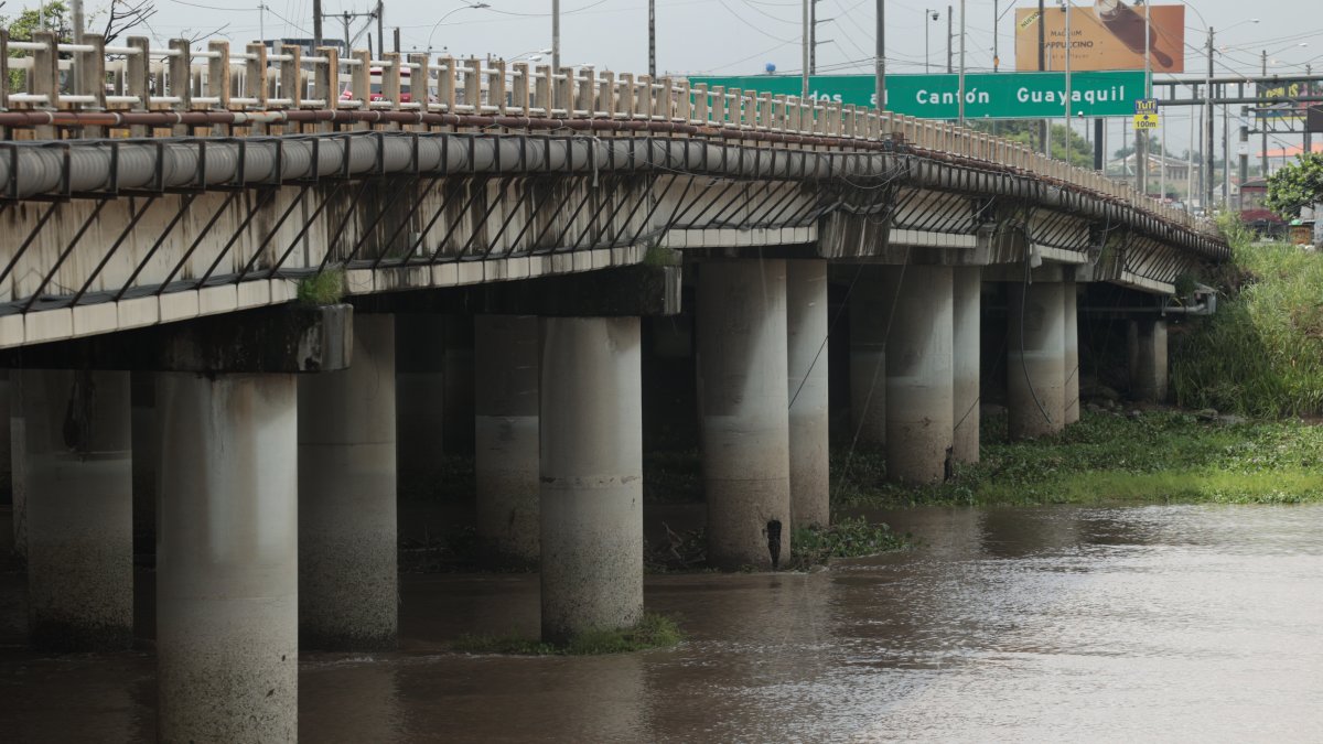Daños. Los pilotes tienen huecos, al menos diez, esto hace que la estructura se vea debilitada..