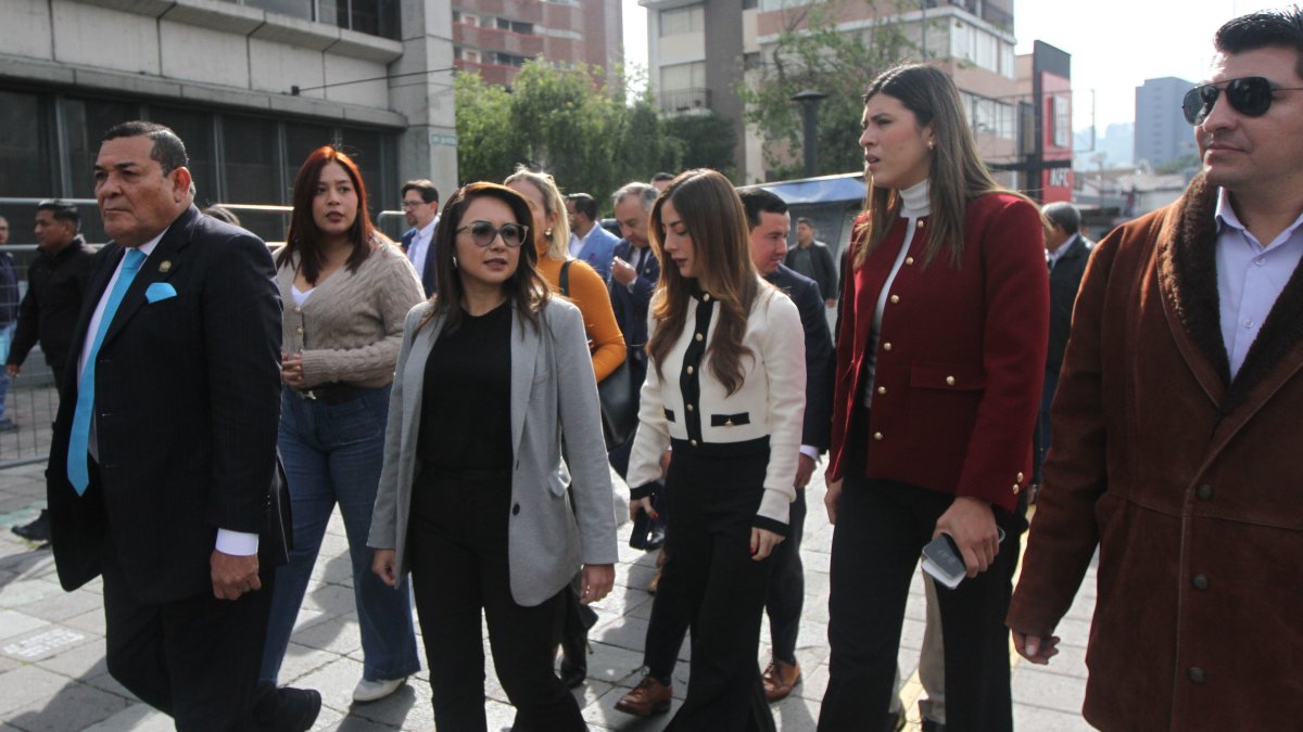 Recurso. Los asambleístas oficialistas de ADN han presentado cuatro denuncias en la Fiscalía General en contra del correísmo.