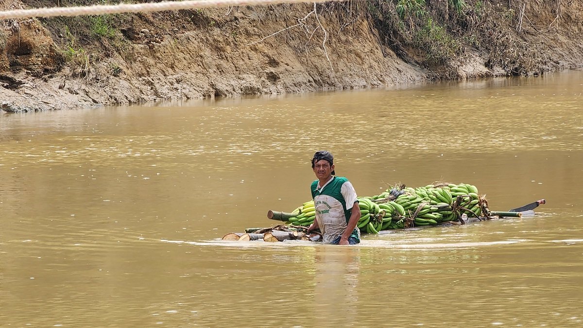 Los agroproductores que han perdido sus cultivos recibirán la compensación económica.