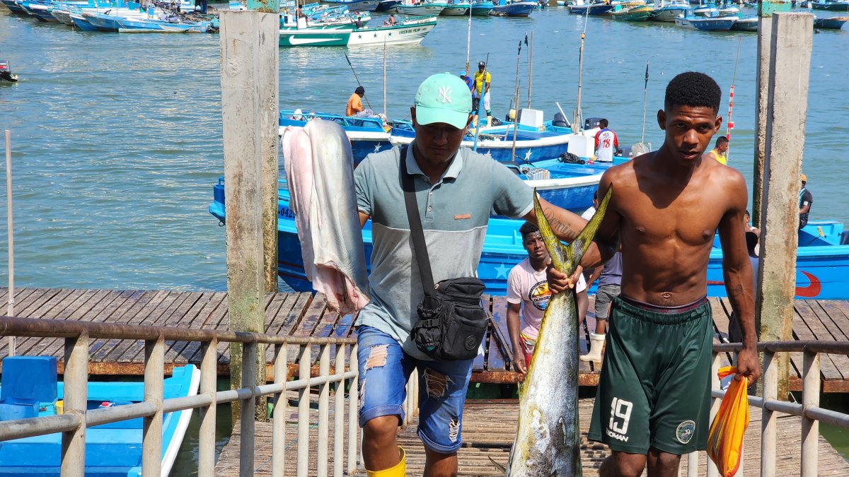 Esmeraldas. Los pescadores artesanales esperan que el desembolso.