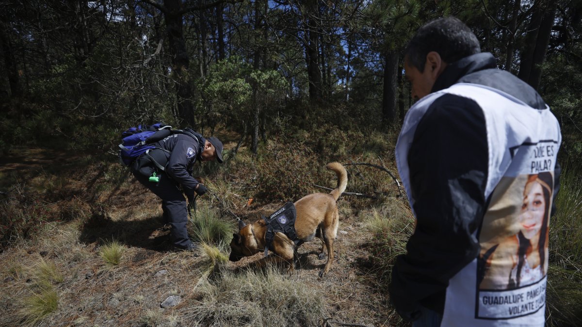 Búsqueda de joven en Ciudad de México refleja la crisis que enfrenta Sheinbaum.