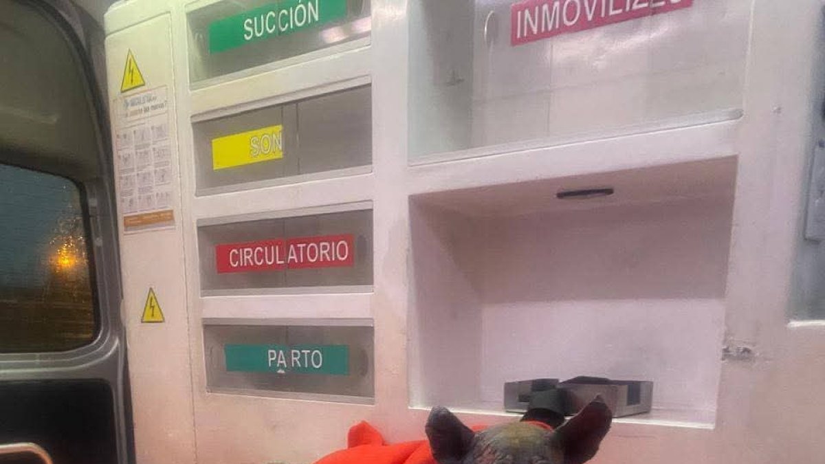 Valiente falleció en camino a ser tratado.