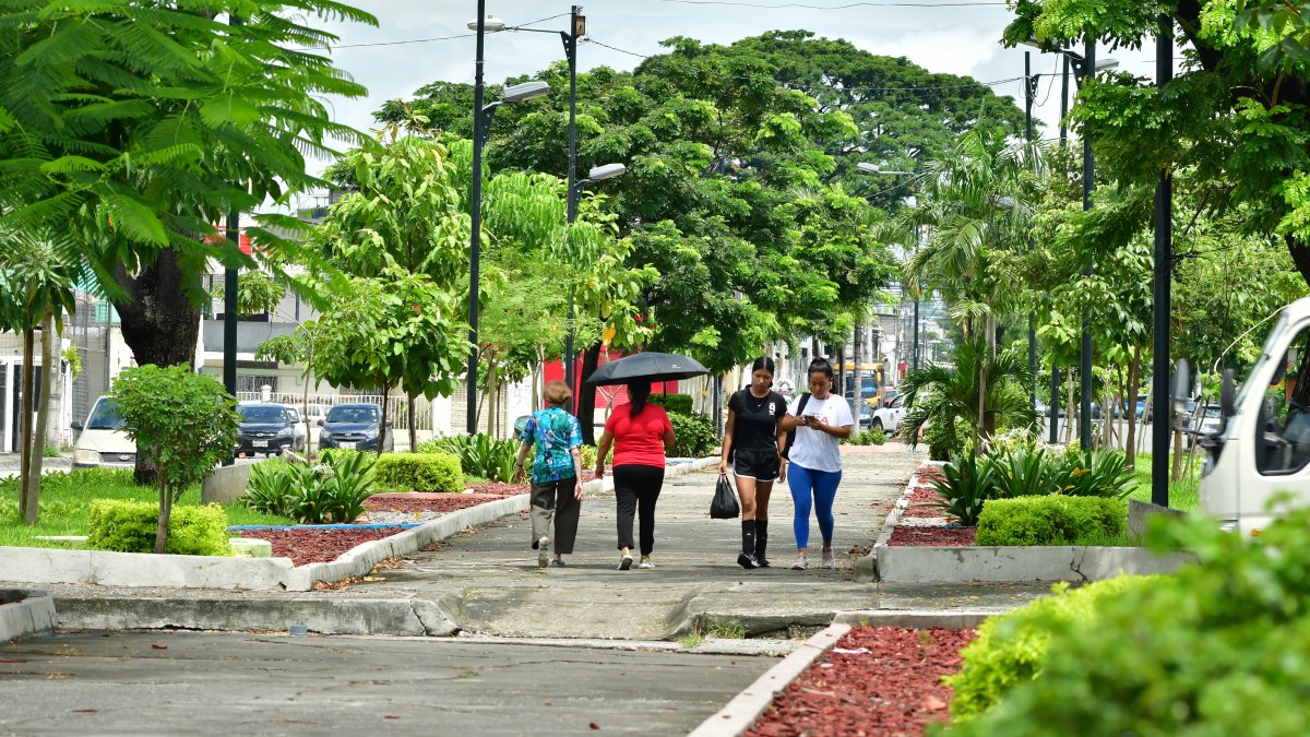 La avenida Enrique Ortega tiene infraestructura que puede aprovecharse.