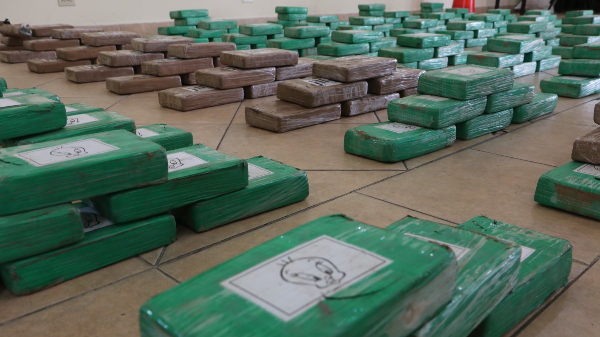 Imagen referencial para graficar este artículo.