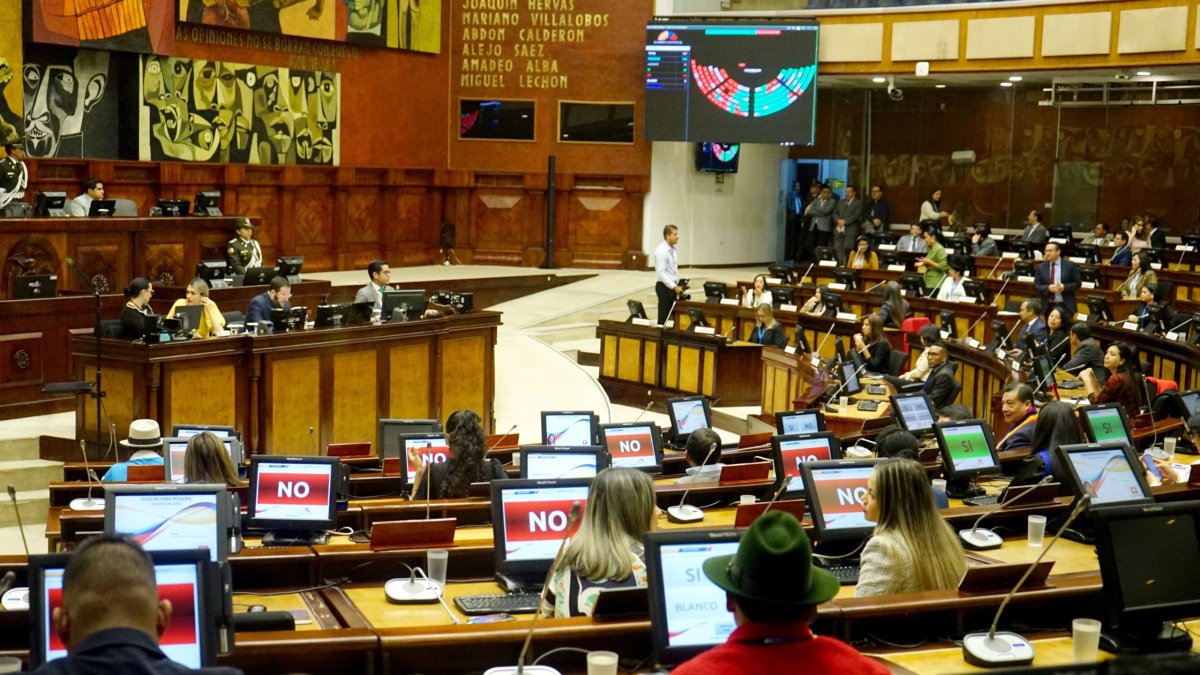 La próxima Asamblea estará controlada por el correísmo y ADN.