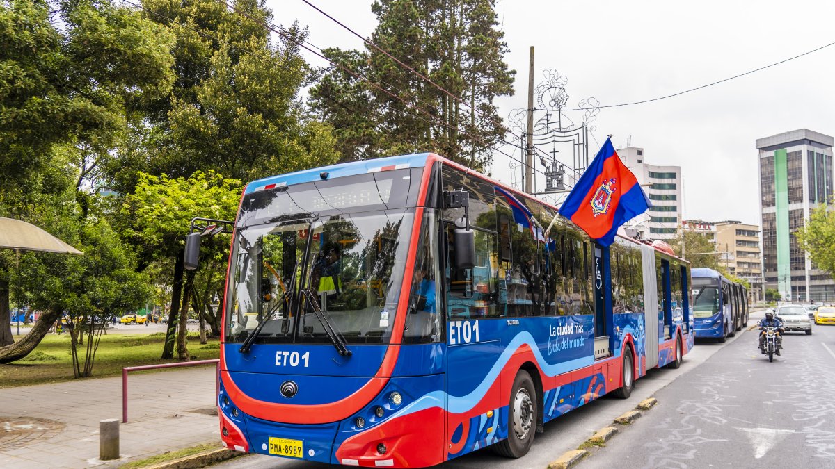 Los 46 trolebuses circularán desde este 31 de marzo de 2025.