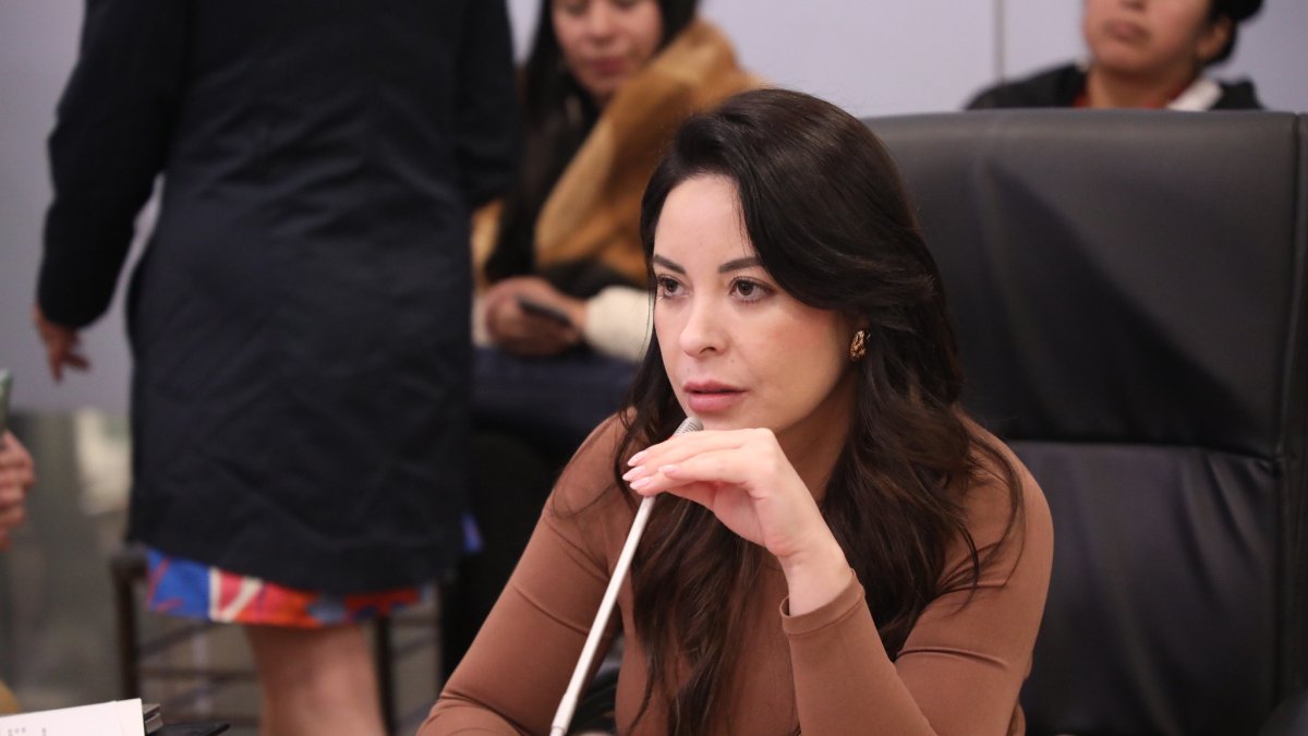 La asambleísta del correísmo y presidenta de la mesa de Fiscalización, Pamela Aguirre.