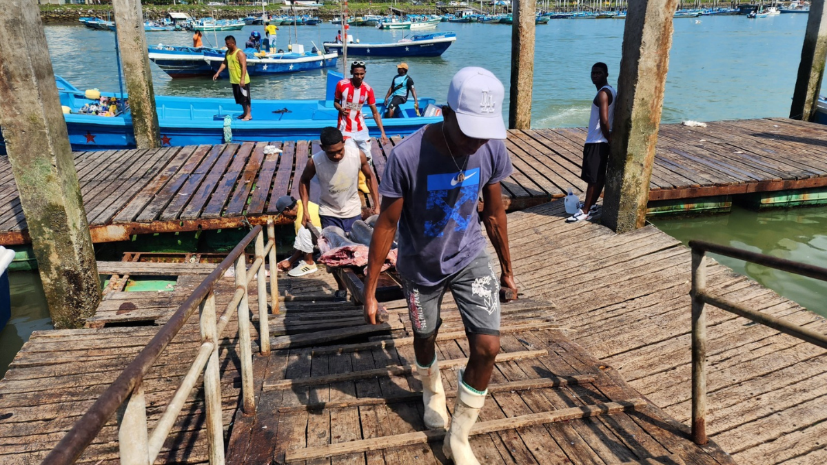 Pescadores de Esmeraldas enfrentan una crisis tras el derrame de crudo, con embarcaciones regresando con cantidades mínimas de pescado y una creciente preocupación por la seguridad en el mar.