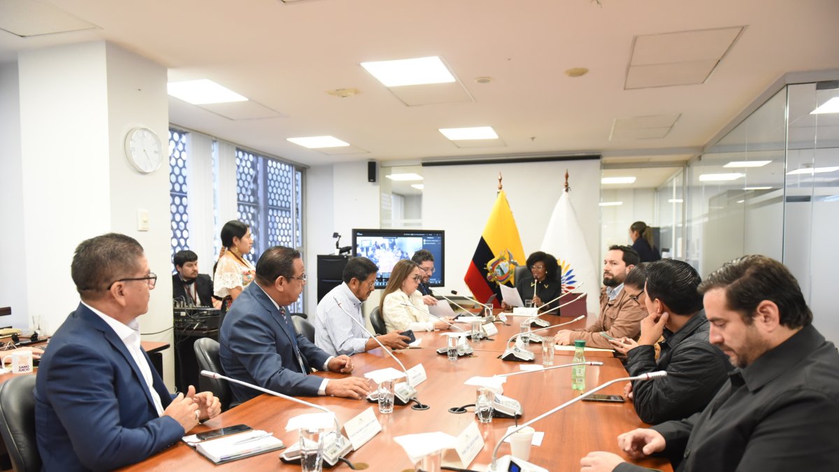 La Comisión de Garantías Constitucionales de la Asamblea Nacional sesionó este martes 1 de abril.