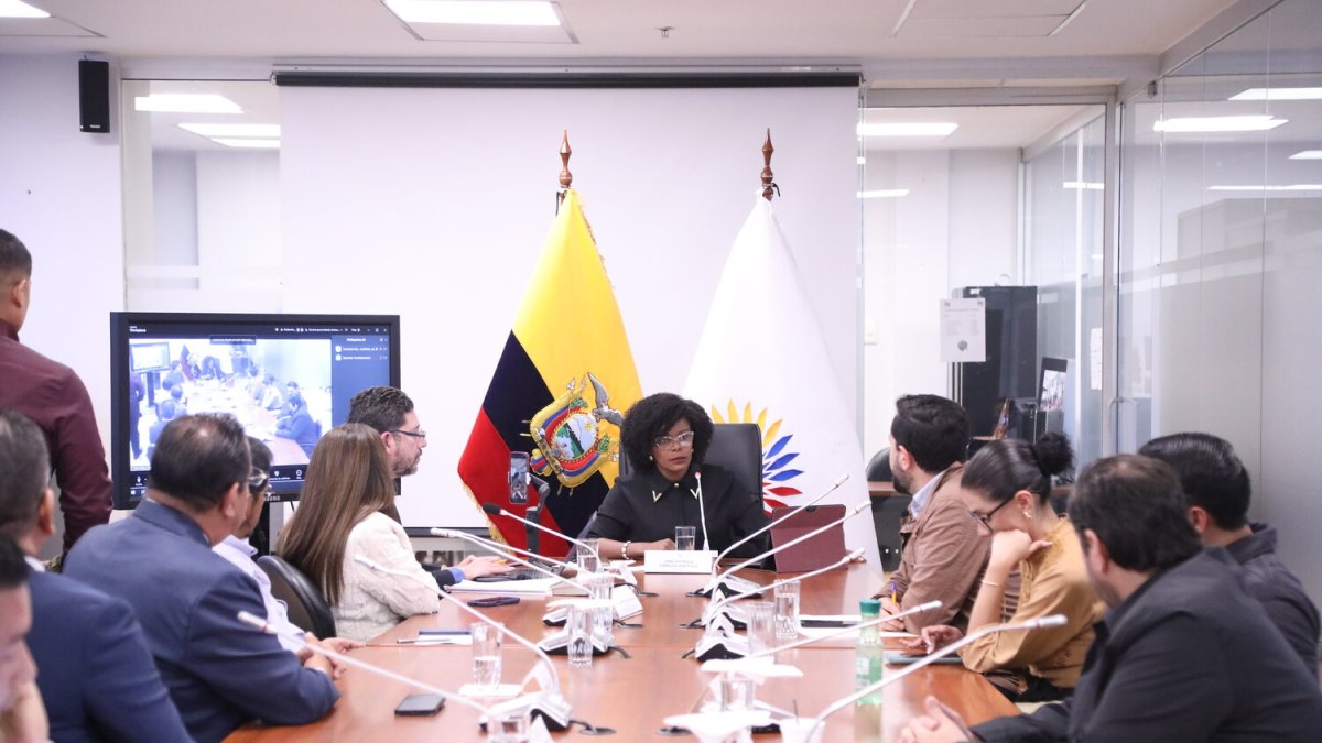 La Comisión de Garantías Constitucionales tramitó el proyecto de ley.