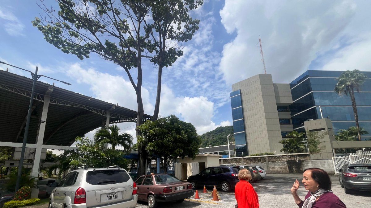 Petición. Diferentes usuarios solicitan la poda.