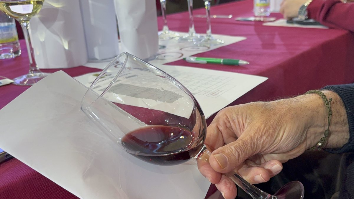 El Salón del Vino y la Aceituna de Extremadura se celebra en Almendralejo (Badajoz).