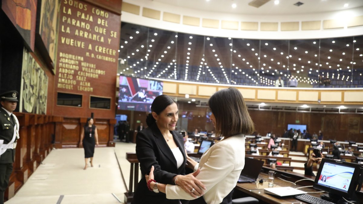 La vicepresidenta Abad compareció ante la Asamblea Nacional en enero de 2025.