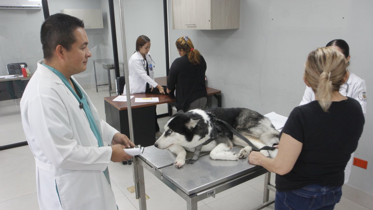 El director de Pro Animal atendió a EXPRESO y explicó las necesidades en la dirección del Municipio