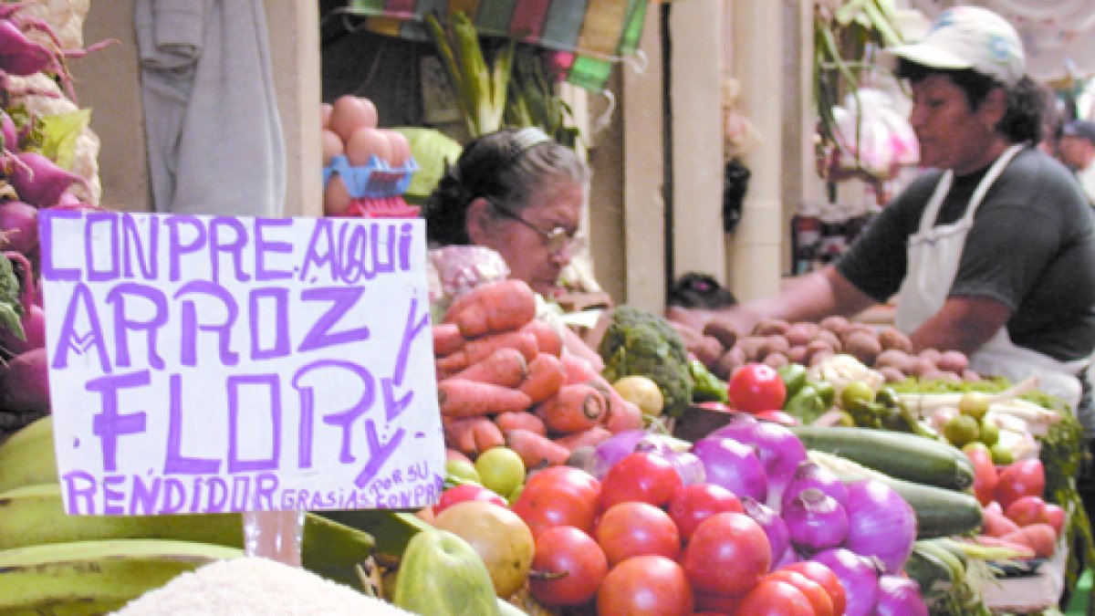 El arroz, el tomate y la cebolla están entre los alimentos que en marzo de 2025 subieron de precio.