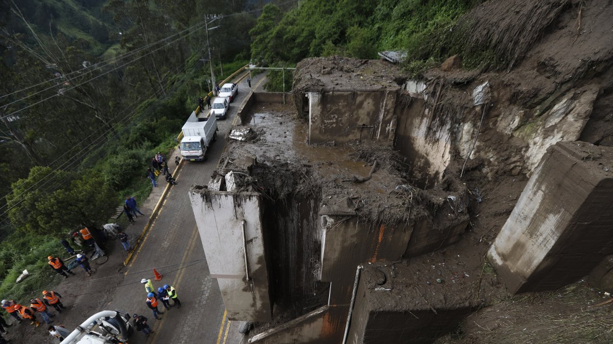 Debido al deslizamiento, un árbol cayó sobre una vivienda.