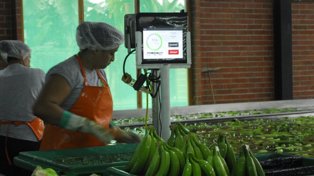 Las exportaciones hacia diferentes destinos podrían reducirse.