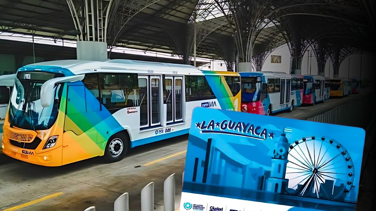 Nuevos buses y sistemas de cobro.