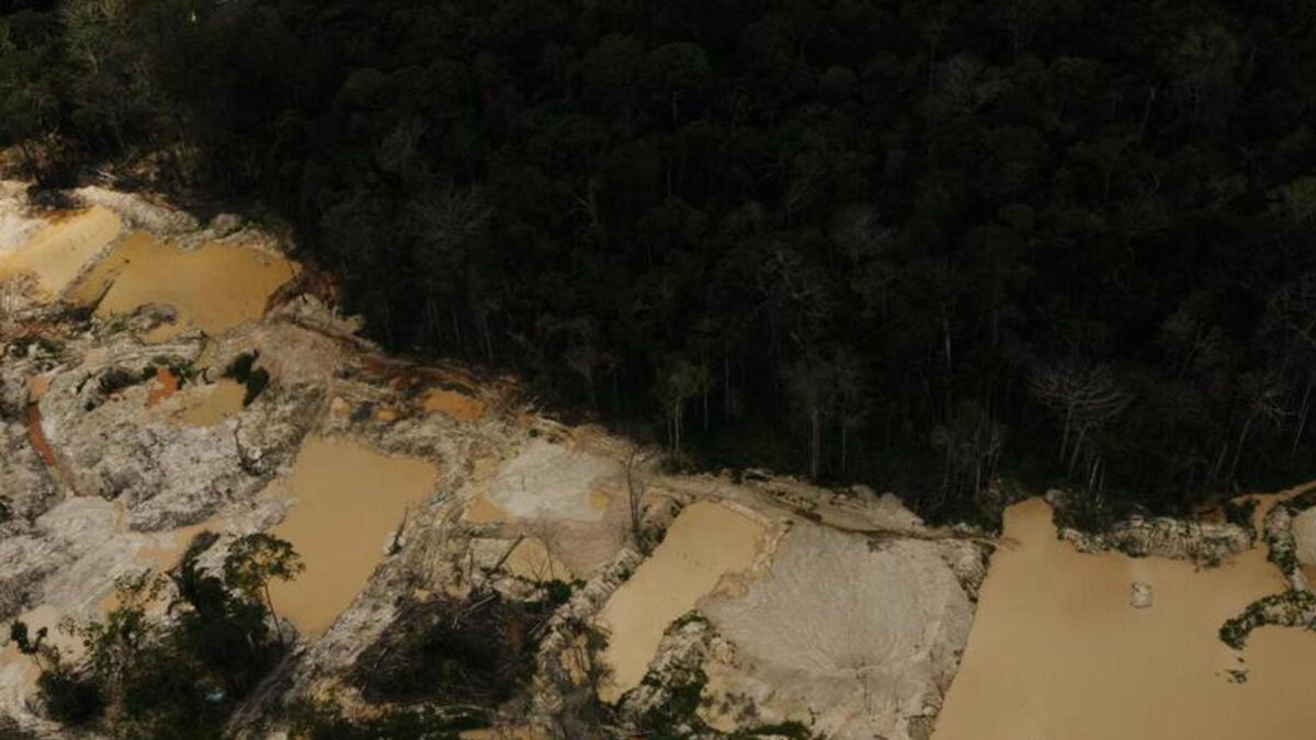 Fotografía facilitada por Greenpeace que ha publicado hoy 8 de abril de 2025 un informe que indica que la minería ilegal del oro prolifera en la selva amazónica