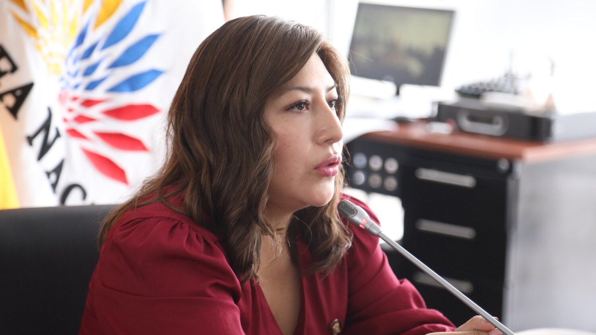 La oficialista Inés Alarcón preside la mesa legislativa de Seguridad.