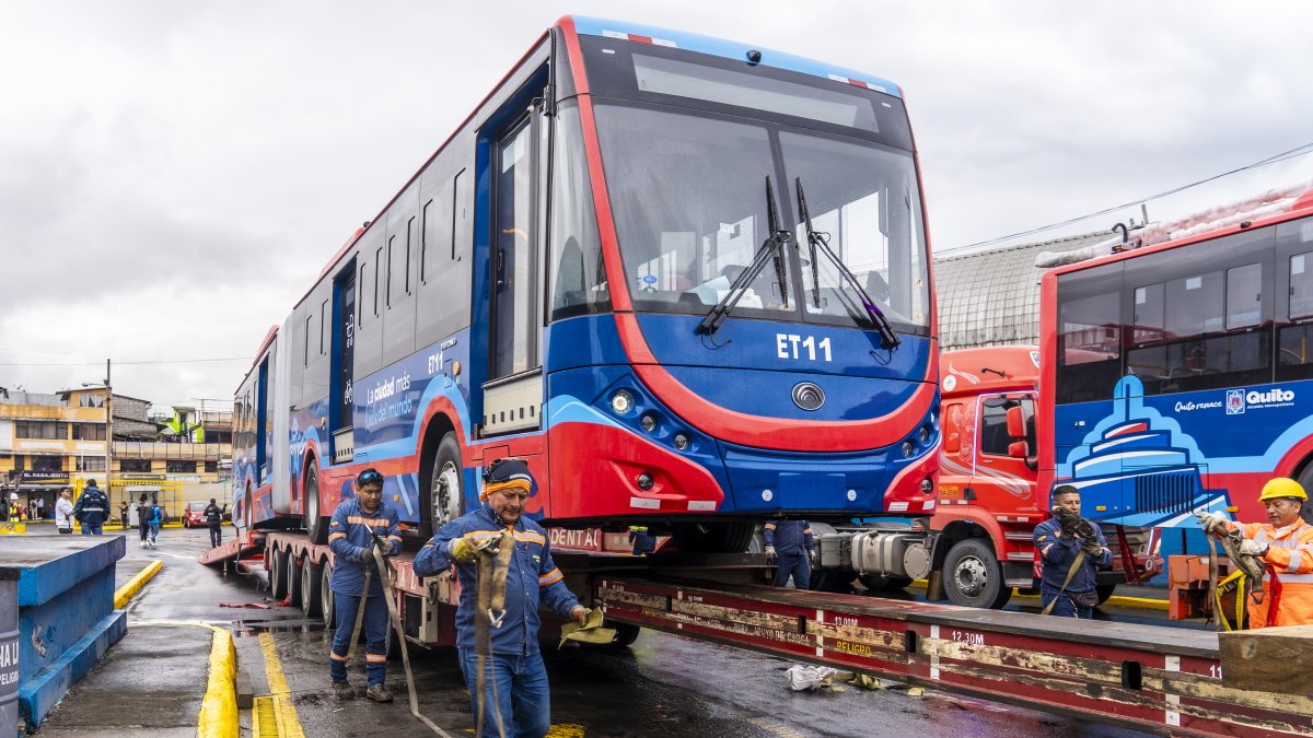 Los 60 trolebuses eléctricos comenzaron a funcionar a finales de marzo de 2025.