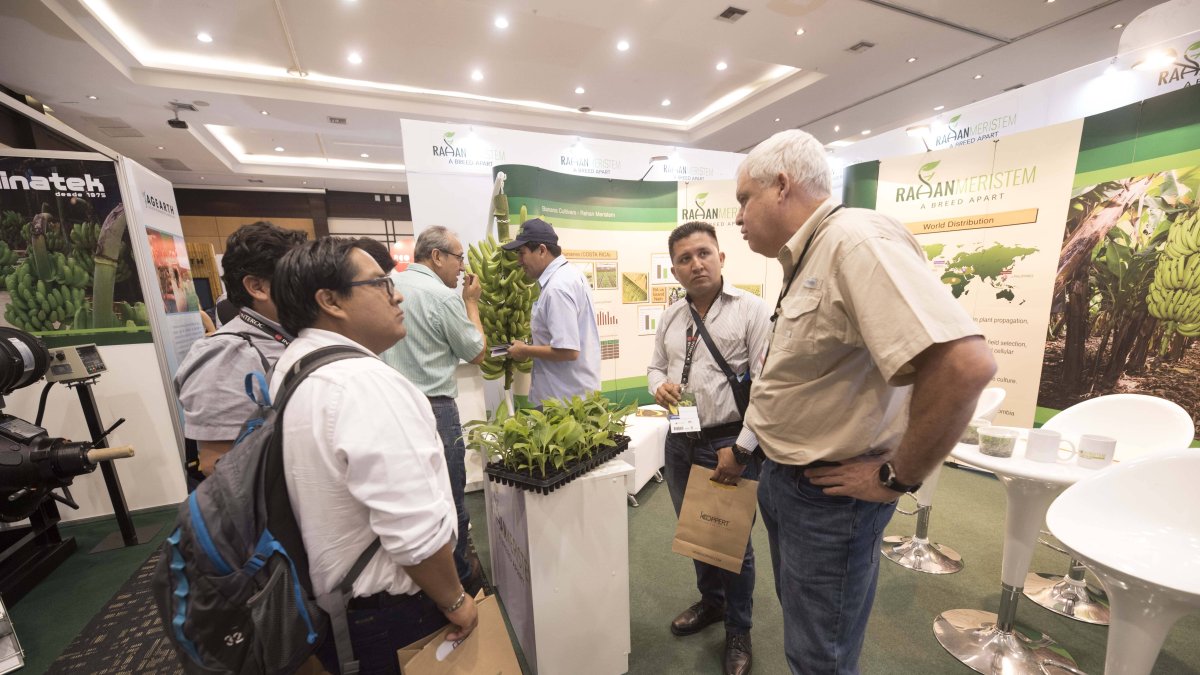 La cumbre del banano se dará por 3 días en el centro de convenciones.