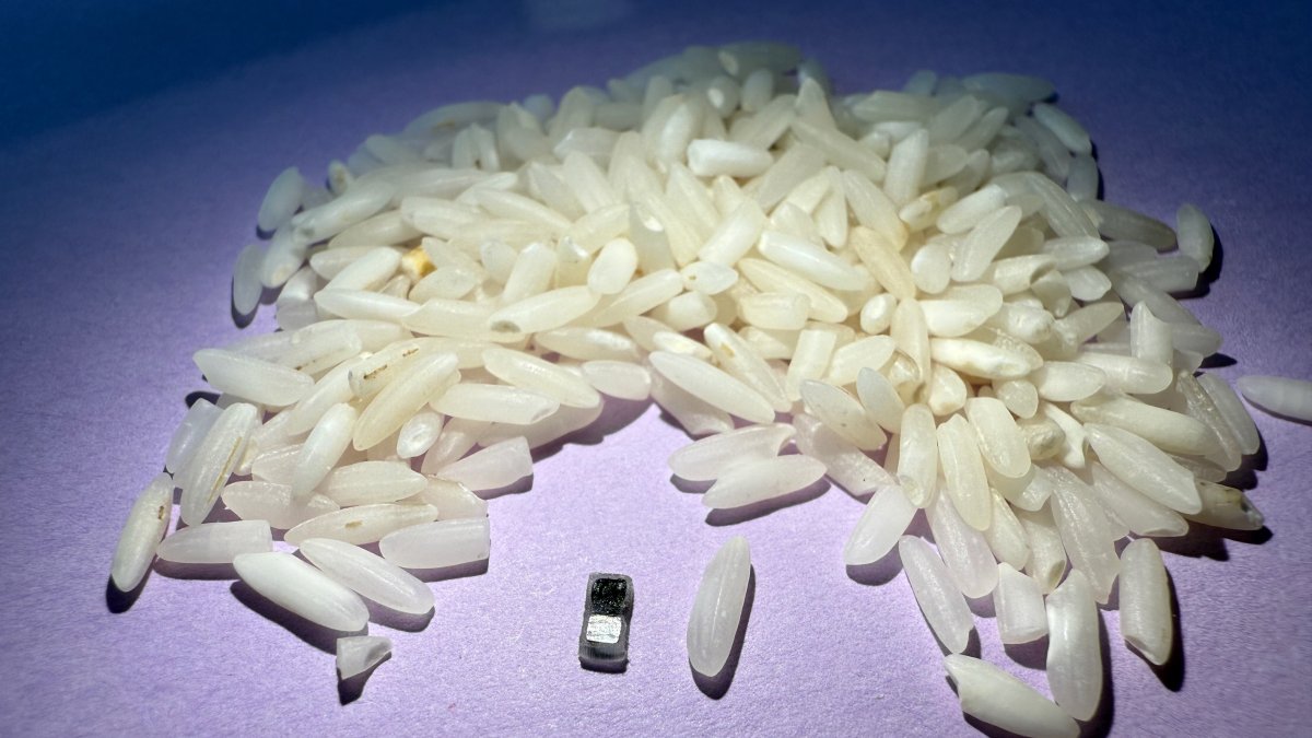 Los marcapasos junto a un montón de arroz a escala.