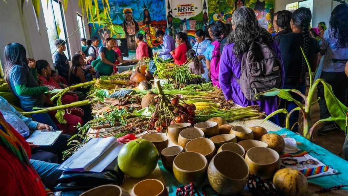 Los shuar realizan el festival de la semilla en Morona Santiago, para mantener los bosques de la Amazonía.