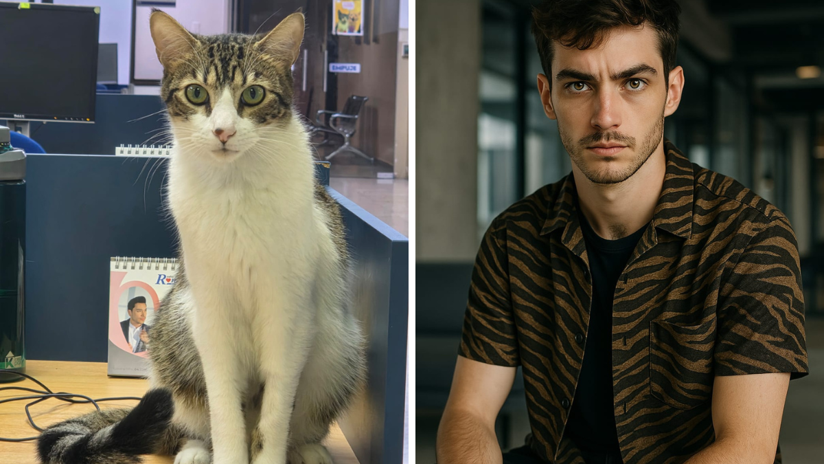 Así se vería Oreo si fuera un chico según ChatGPT.