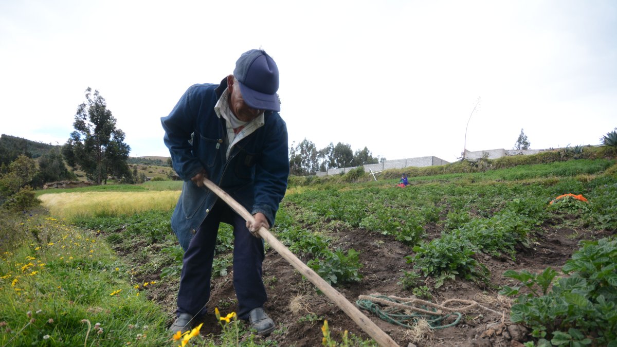 Un pequeño producto realiza trabajos en su finca.