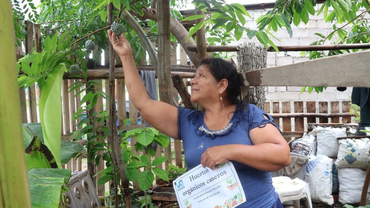 UG. El proyecto de vinculación incluye talleres para el desarrollo de huertos urbanos en el Golfo de Guayaquil por los propios habitantes.