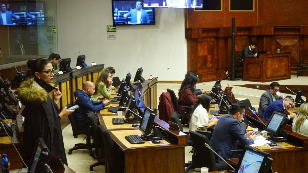 En el último tramo de la actual Asamblea hubo bloqueos mutuos entre RC y ADN.