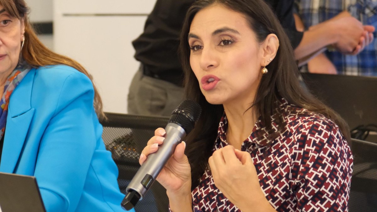 La vicepresidenta Verónica Abad reconoció los resultados de las elecciones de segunda vuelta, que dan el triunfo a Daniel Noboa.