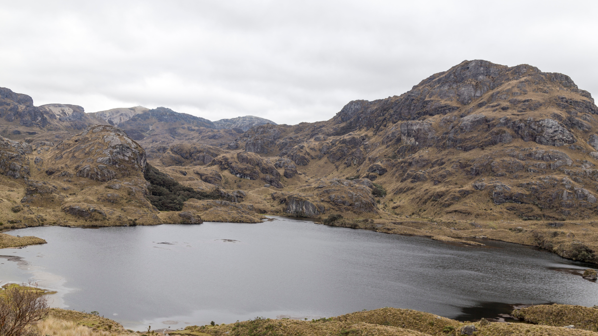Laguna en el Parque Nacional Cajas, Azuay: un paisaje único de páramo y montañas en Ecuador.