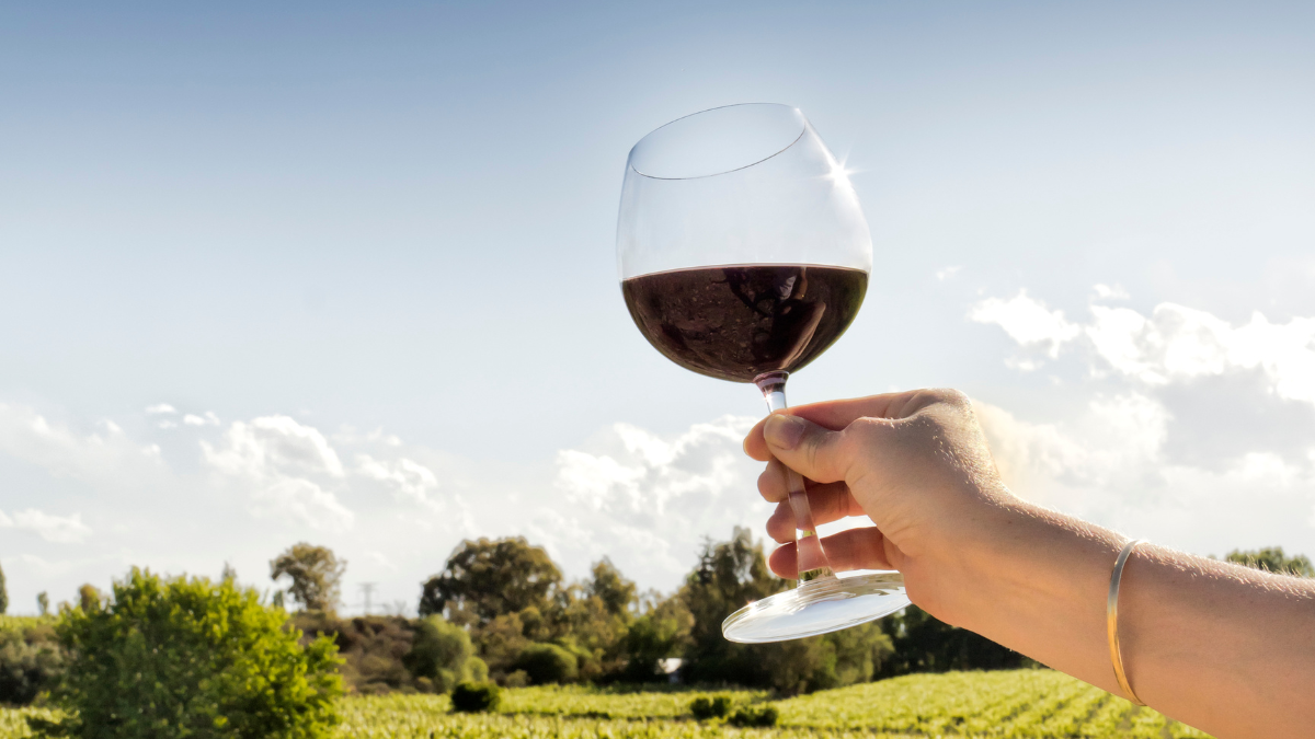 Todos los 17 de abril se celebra el Día del Malbec.